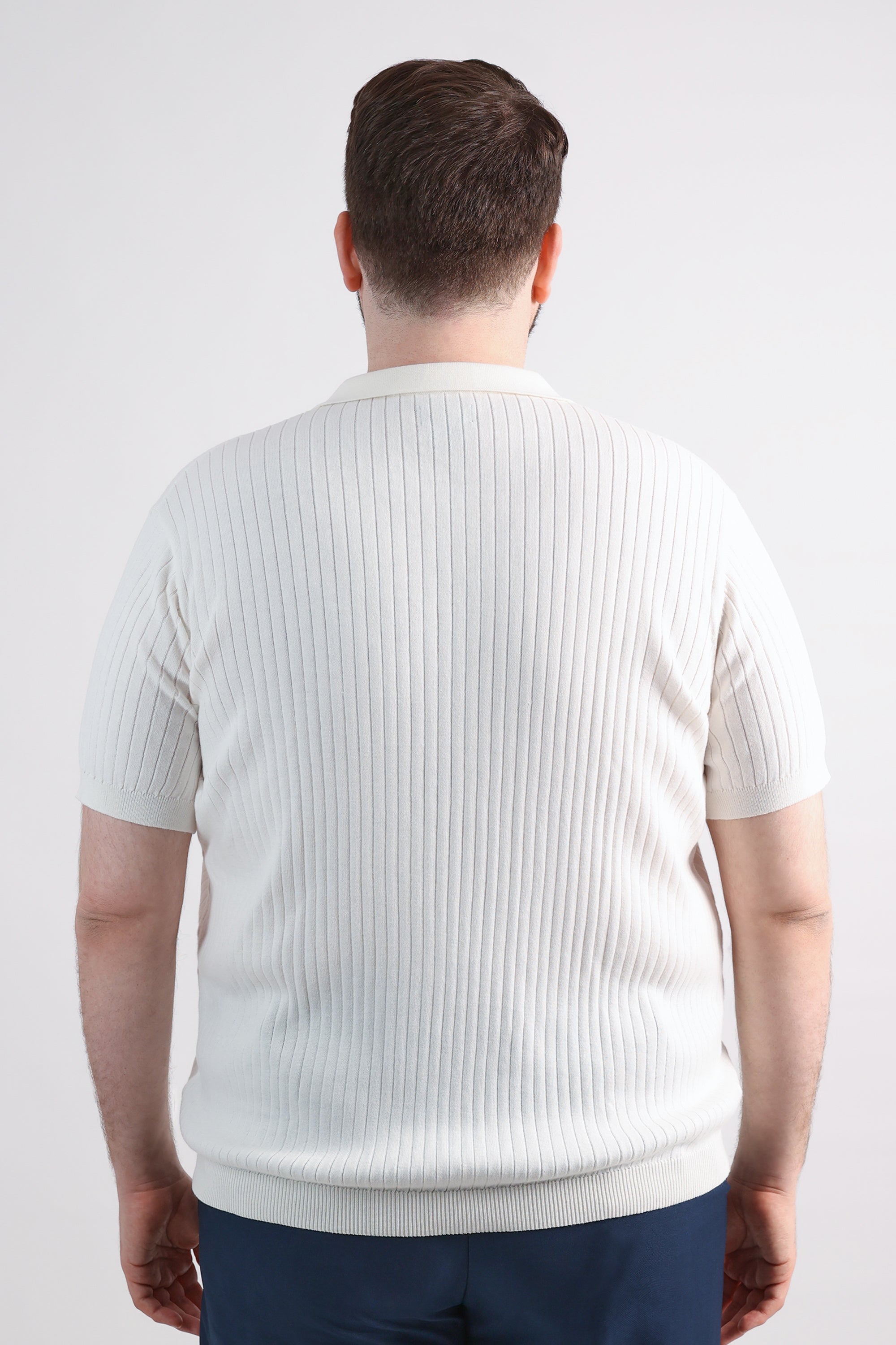 Big & Tall Johnny Collar Ribbed Sweater, , hi-res