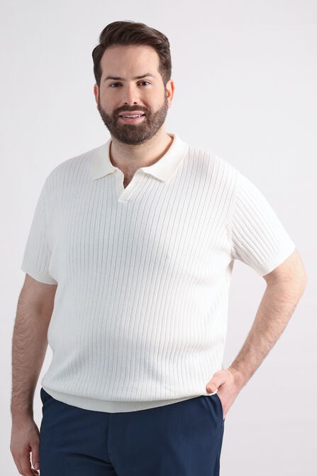 Big &amp; Tall Johnny Collar Ribbed Sweater, Winter White view# 1