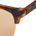 Modern Intellectual Sunglasses, Brown, swatch