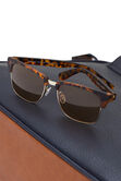 Modern Intellectual Sunglasses, Brown view# 5