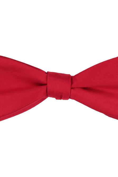 Solid Bowtie,  view# 2