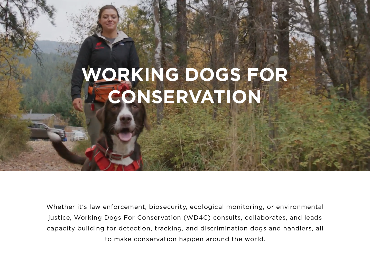 Working Dogs For Conservation